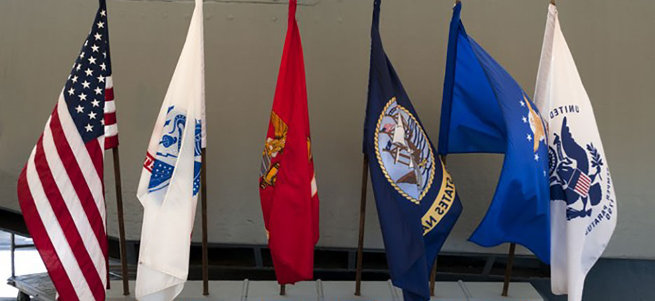 VSO-StateBenefits-458530611_cropped